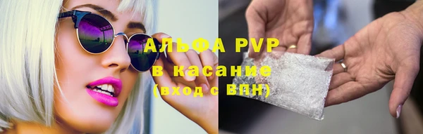 сатива Алексин