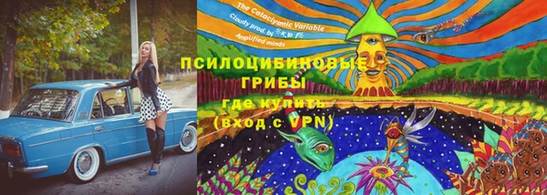 сатива Алексин