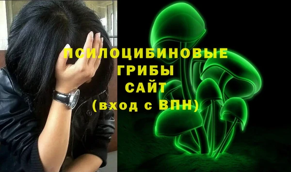 сатива Алексин